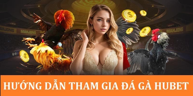 Cách thức chơi đá gà HUBET chuẩn chỉnh nhất 2025